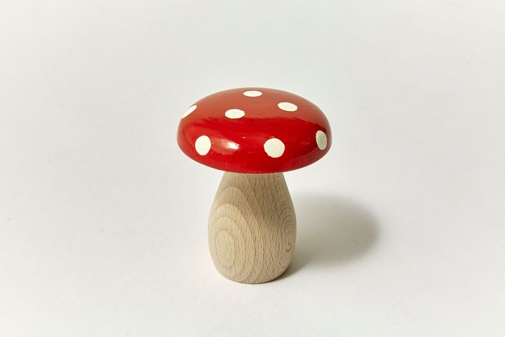 お気に入りの洋服をずっとおしゃれに着たいから。こだわりのお手入れ道具【偏屈なもの】