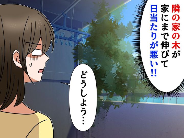 画像: お隣の木のせいで、洗濯物が乾かない（泣）だけど声をかけづらい──解決した方法とは？