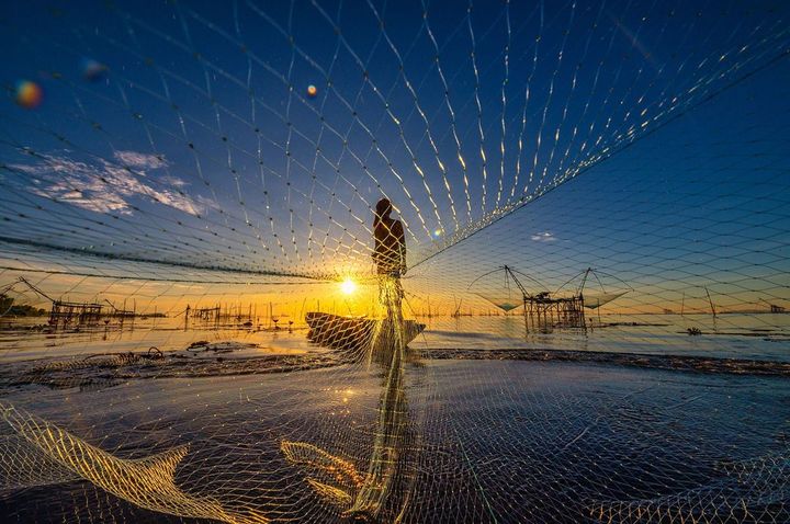 魚を取るために漁師が投げた網