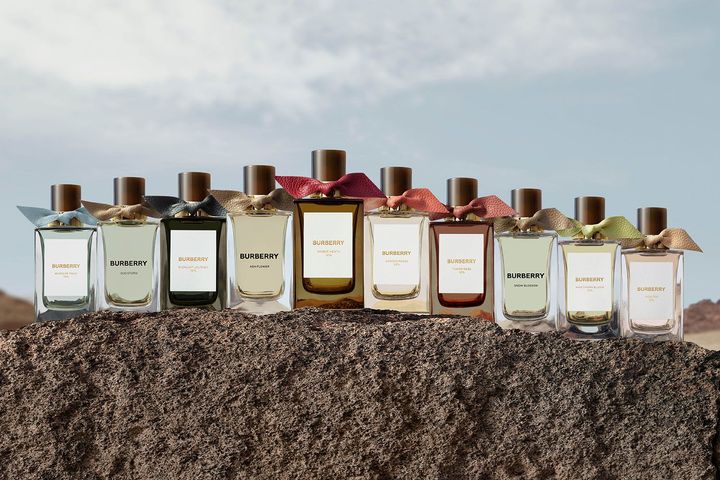 （左から）「バーバリー シグネチャー コレクション ウィンザー」トニック、ウード ストーム、ミッドナイト ジャーニー、アッシュ フラワー（日本未発売）、アンバー ヒース、ガーデン ローズ、チューダー ローズ、スノー ブロッサム、ホーソーン ブルーム、ハイ ティー 各100ml ￥39,600（2025年2月26日発売）