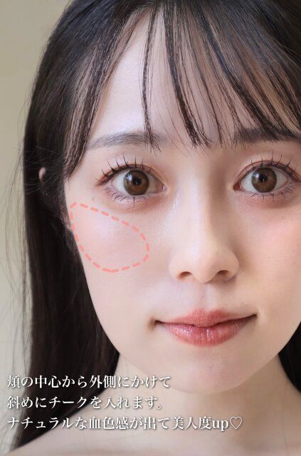 チーク 入れ方 解説