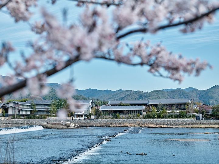嵐山の桜は、鎌倉時代に後嵯峨天皇が吉野山の桜を移植したことに始まる。