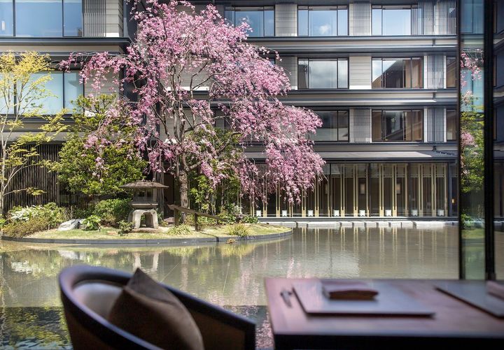 シグネチャーレストラン「都季／TOKI」から、中庭の水盤越しに満開のしだれ桜を見ることができる。
