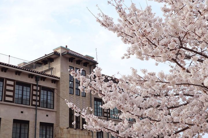 明治時代に開校し、1933年に現在の場所に移転・新築された元清水小学校の校舎を再利用。