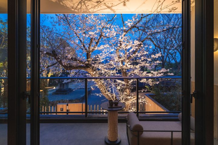 夜はライトアップされた夜桜が楽しめる。