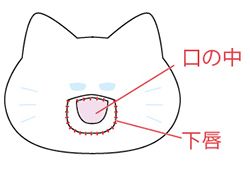 入園・入学準備におすすめ！ノラネコぐんだんのレッスンバッグの作り方【型紙・無料ダウンロードできます】の画像5