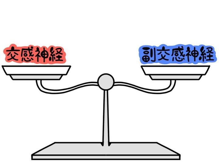 自律神経の乱れが疲れにつながる