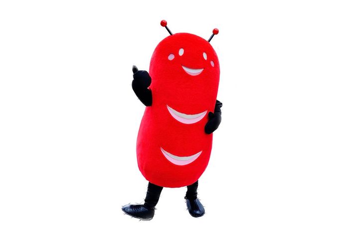 写真：そお星人／提供：曽於市観光協会