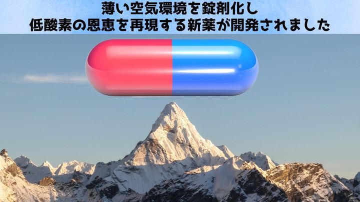 薄い空気環境を錠剤化：低酸素の恩恵を再現する新薬を開発
