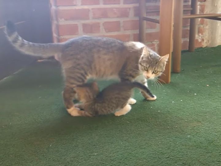 “塩対応”と見せかけて…？