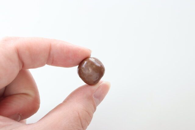 ダイソーのMcVitie’s NIBBLES（チョコレート菓子）4