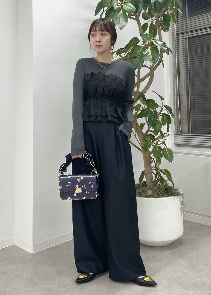 画像1: 出典：VIS