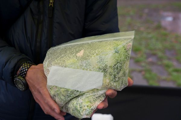 春キャンプ上級者は絶対やってる！簡単にできる強風や花粉対策が天才すぎた！