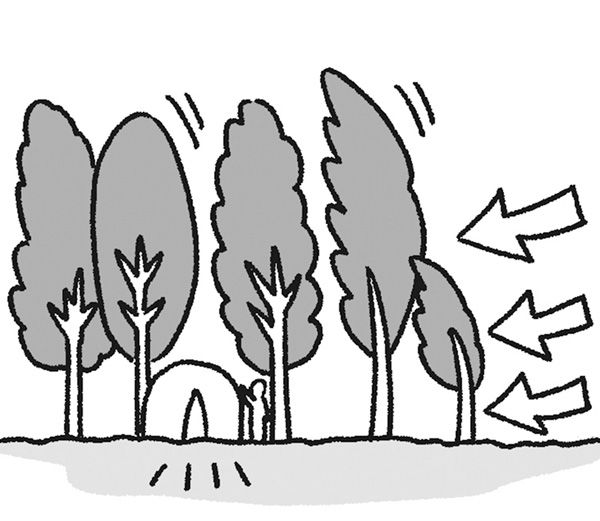 春キャンプ上級者は絶対やってる！簡単にできる強風や花粉対策が天才すぎた！