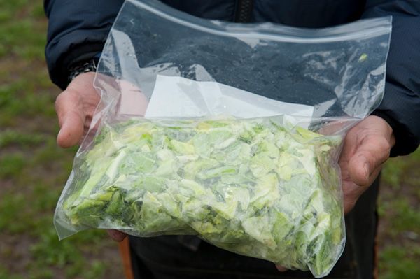 春キャンプ上級者は絶対やってる！簡単にできる強風や花粉対策が天才すぎた！