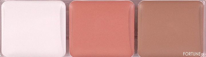 CEZANNE（セザンヌ）｜パレットコンシーラー ハイ...