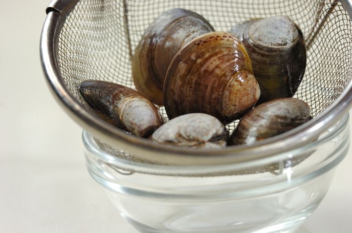 ハマグリの吸い物の下準備1