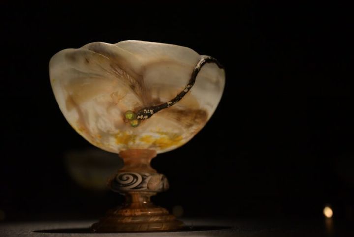 脚付杯「蜻蛉」エミール・ガレ 1903〜04年 サントリー美術館