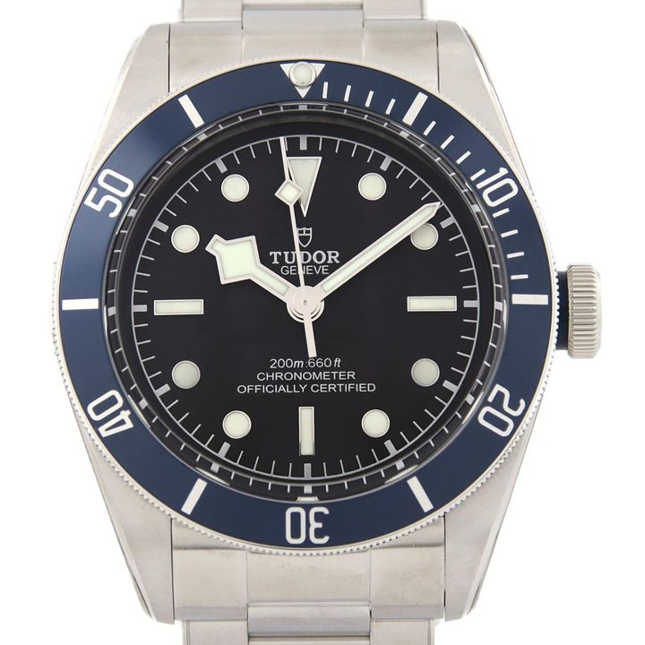 チューダーのブラックベイ