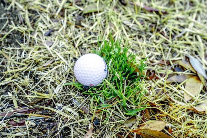 春の強風や芝に負けずに”5打”スコアを縮める便利なショットをレッスン！