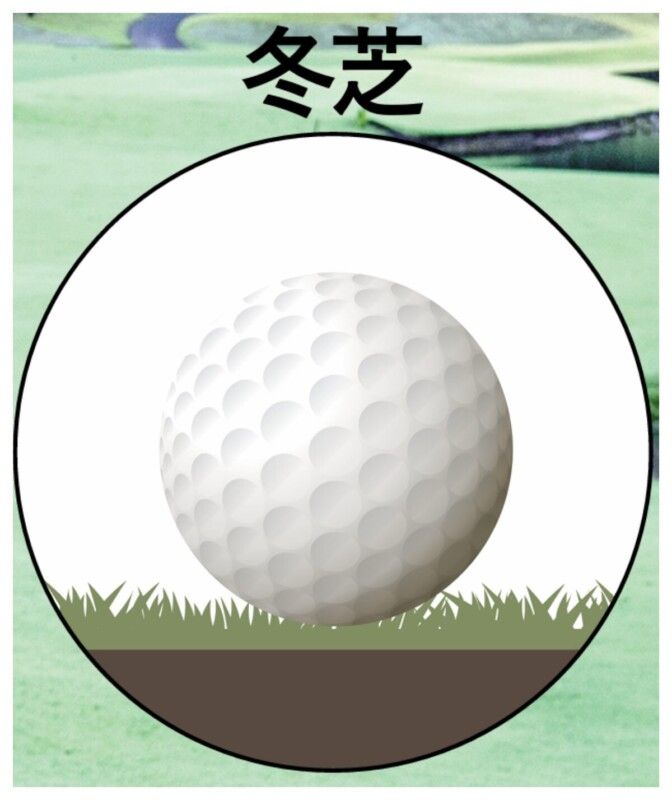 春の強風や芝に負けずに”5打”スコアを縮める便利なショットをレッスン！