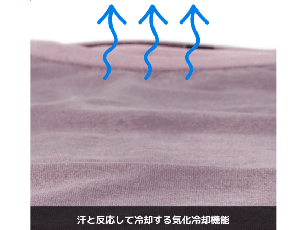 【ワークマン最新アイテム】高機能でコスパ最強な“-10℃”冷感Tシャツが画期的すぎる！