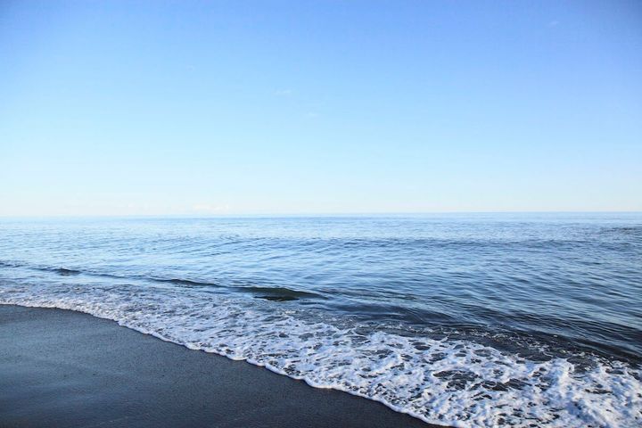 Photo_ paylessimages/123RF