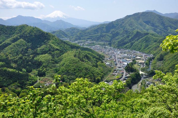 Photo_ yasasiikaze/123RF