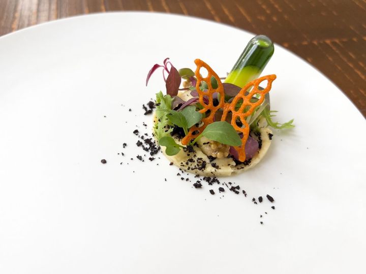 コースの1品目の前菜「Plant」