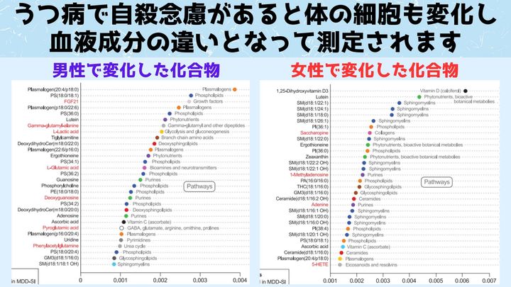 男女別の血液検査で「自殺したい人」を90%の精度で判別することに成功！