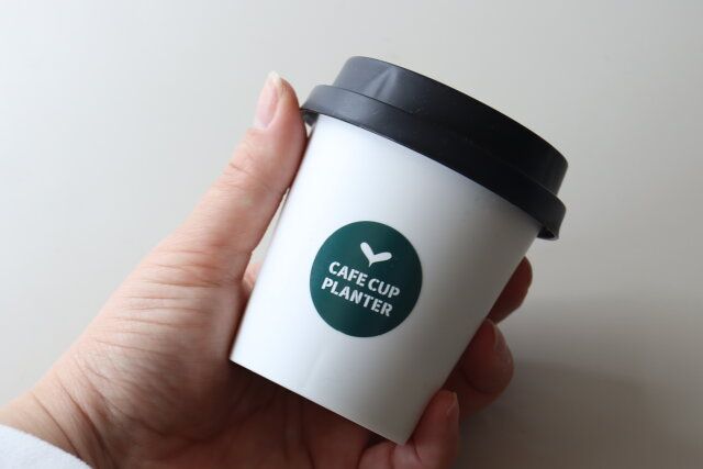 ダイソー カフェカップ風プランター デザイン