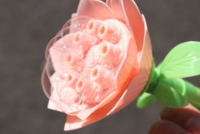 フラワーシャボン 使用例