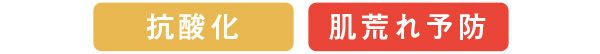 抗酸化 肌荒れ予防