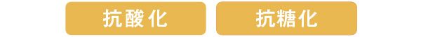 抗酸化 抗糖化