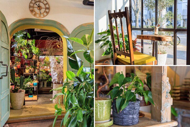 京都・哲学の道近くのカフェ「KOKU」で、香り高い花咲くシフォンケーキとお茶を♪