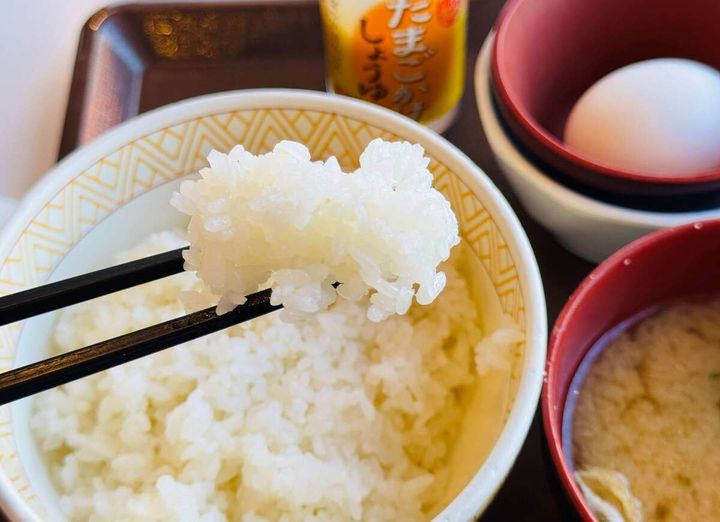 すき家おすすめモーニングメニュー「たまかけ朝食」