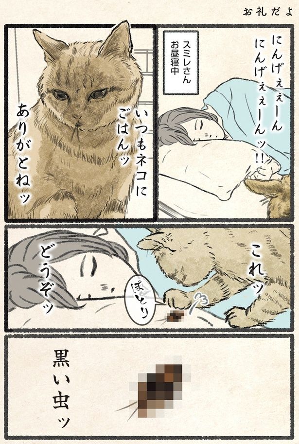 ネコちゃん様 （ネコが壁を突き破るように見えるウォールステッカー 
