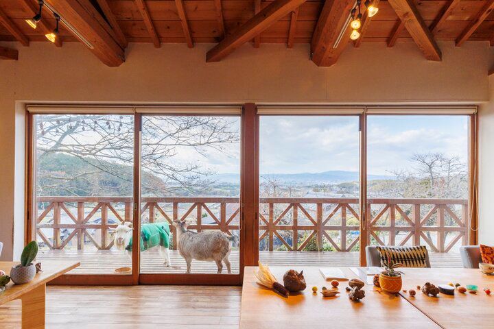 奈良の農家レストラン「清澄の里 粟」で、大和伝統野菜たっぷりのランチを♪