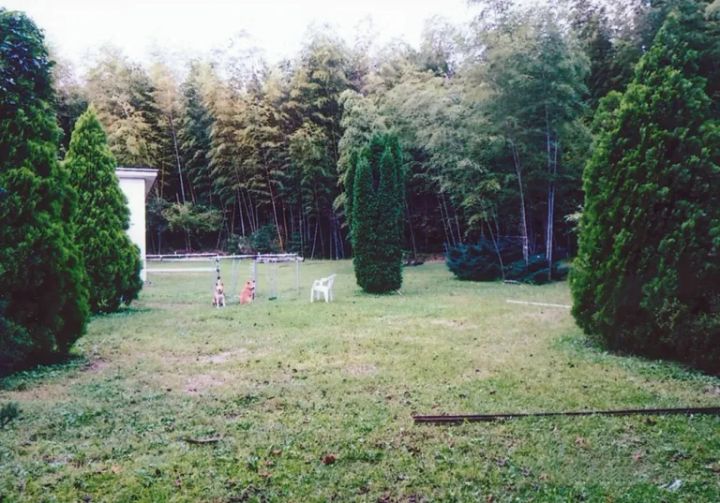 天然温泉に入れる！冬キャンプに絶対に行きたいキャンプ場12選【千葉県】