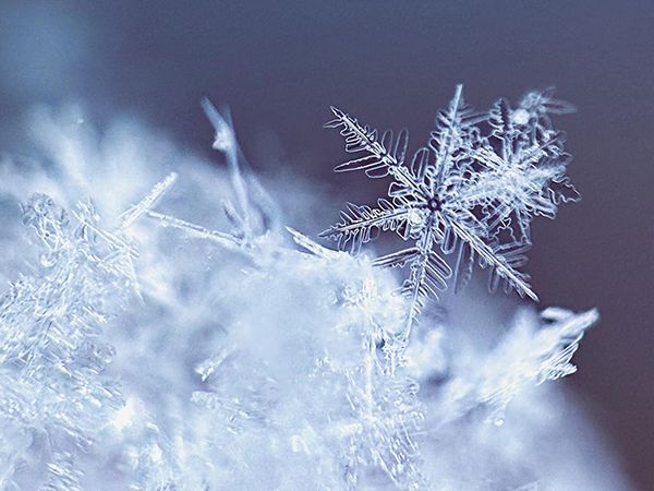 雪の結晶や星空を綺麗に見るためのコツとは？冬限定の贈り物が綺麗すぎる！