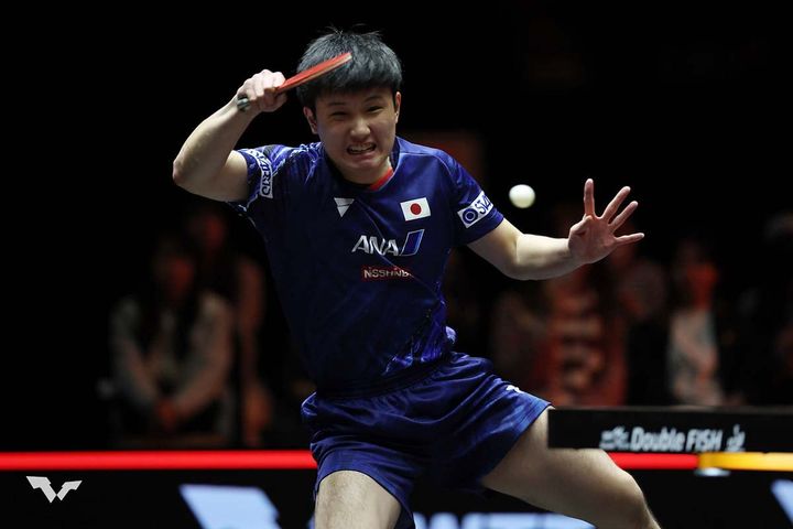 張本智和（C）WTT