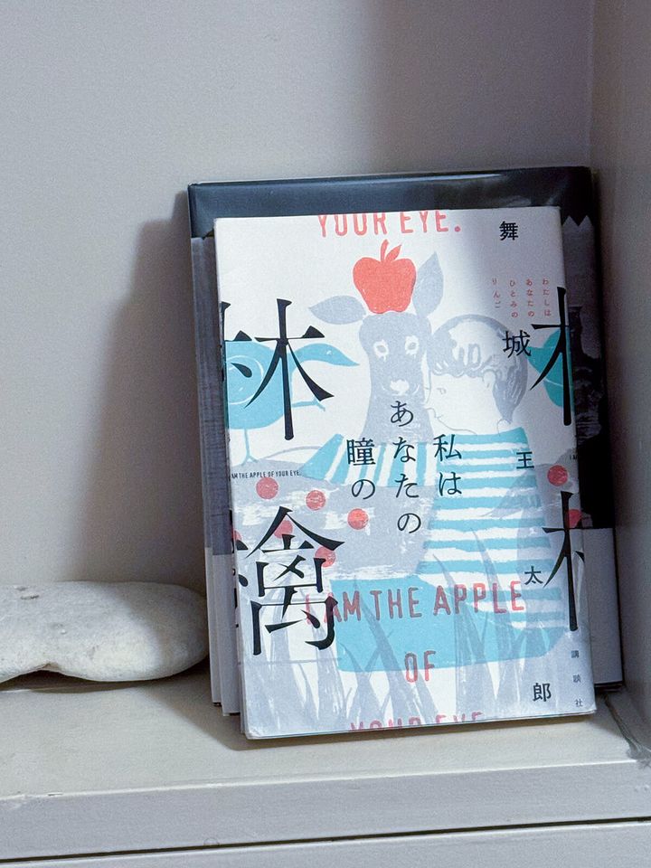 『私はあなたの瞳の林檎』舞城王太郎／著