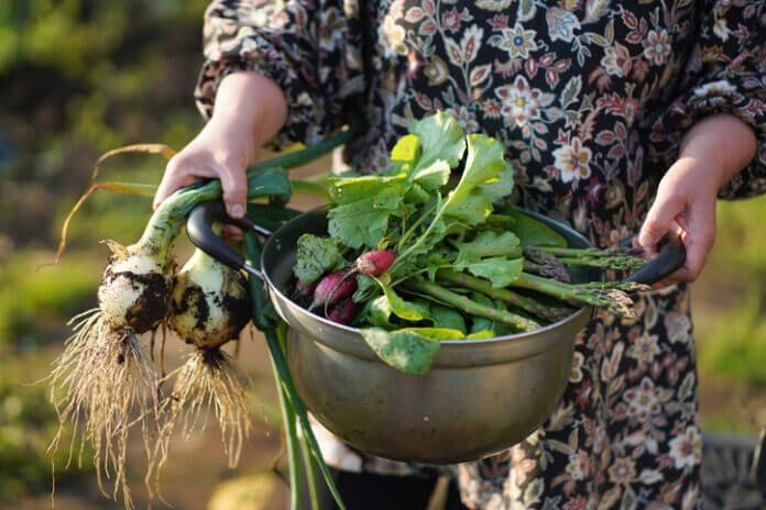 これが楽しみ！ 退職後におススメの趣味3選