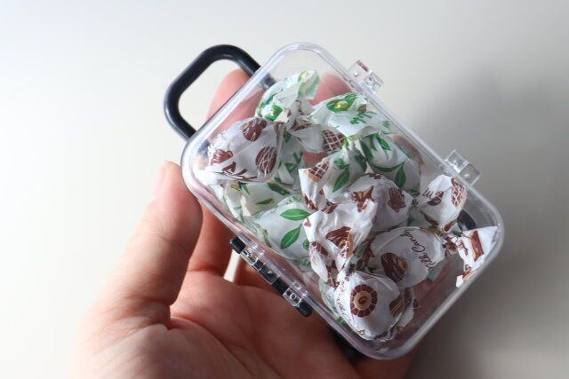 ダイソー ミニキャリーケース型小物入れ（黒、白） 使用例