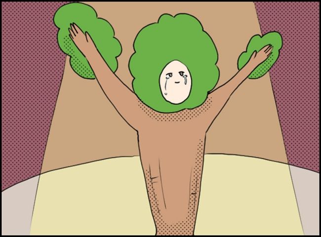 カボチャとシンデレラ1