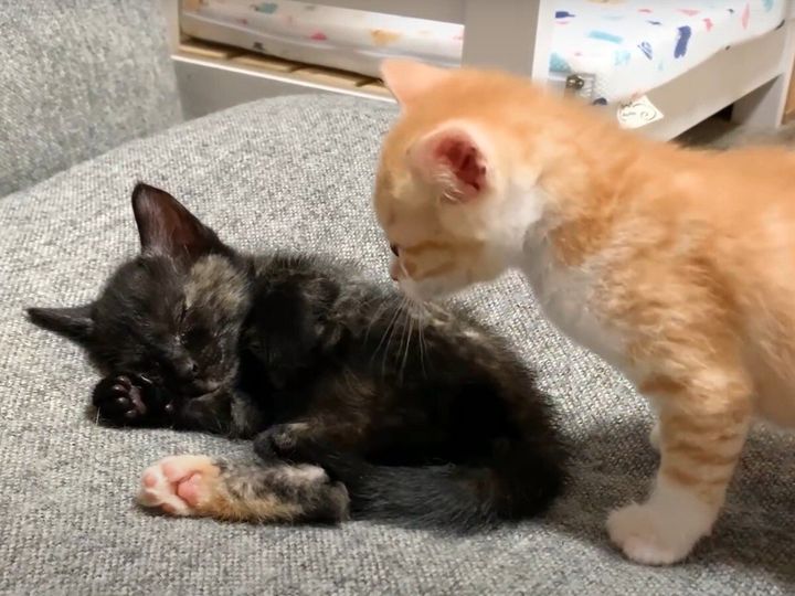 すぐに起きるかな…と思いきや！