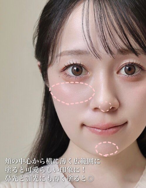 チーク 入れ方 解説