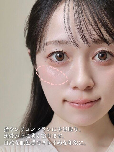 チーク 入れ方 解説