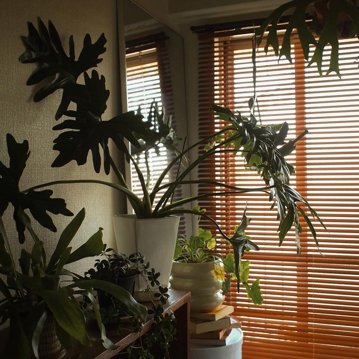 築30年以上の部屋おしゃれに見せる、カフェみたいなインテリア3選