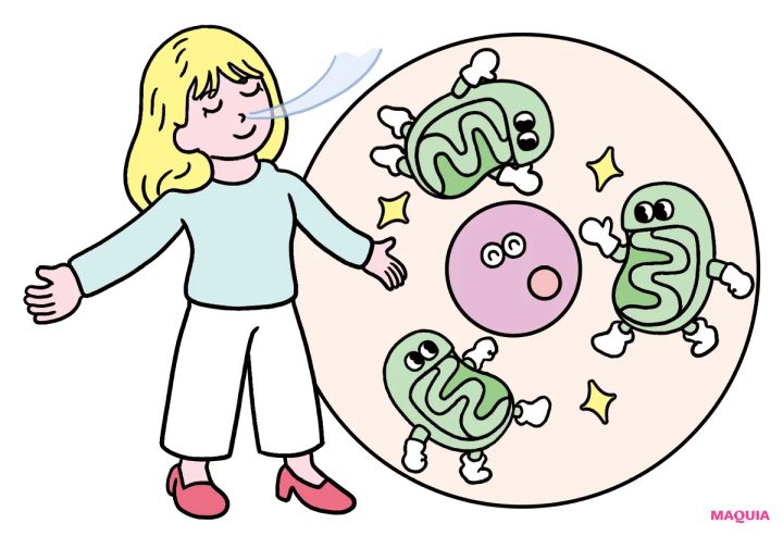 酸素が美肌に大事な理由って？ 活性酸素を恐れるよりも、きちんと酸素を取り込むことが重要！